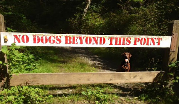 All Rules Are Meant To Be Broken