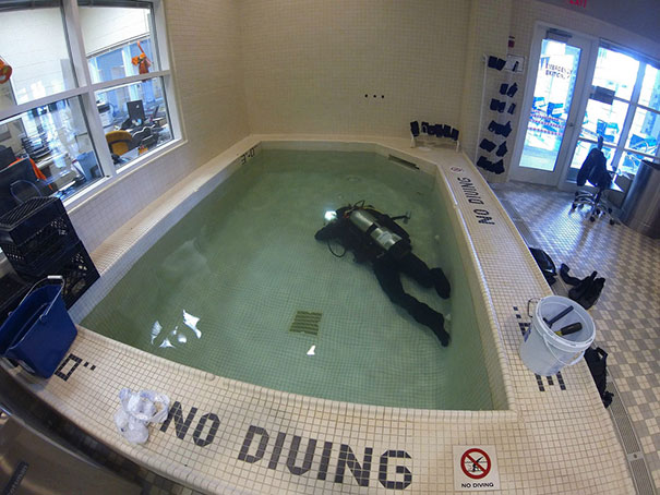 First World Anarchist