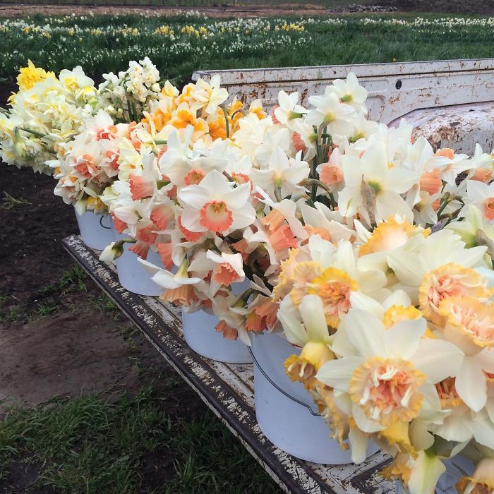 This Instagram Proves That A Florists' Job Is The Best Thing Ever This Instagram Proves That A Florists' Job Is The Best Thing Ever