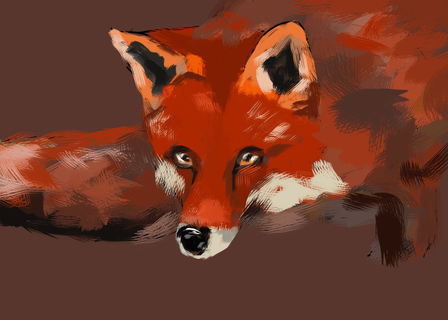 I Create Animal Drawings That Take Me Less Than 20 Minutes