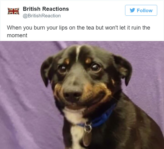 British Reactions