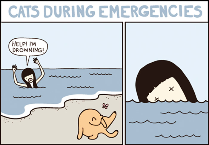 113 Hilarious Comics That Perfectly Capture Life With Cats