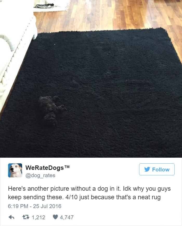 Another Pic Without A Dog In It. 4/10 Just Because That's A Neat Rug