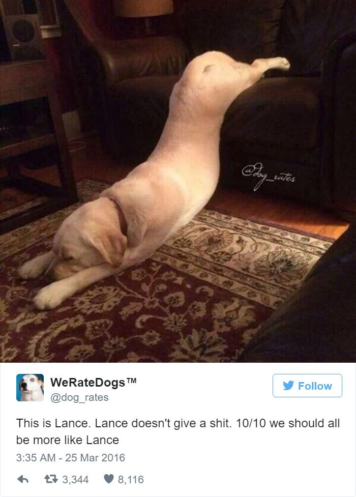 Lance Doesn't Give A Shit. 10/10 We Should All Be More Like Lace