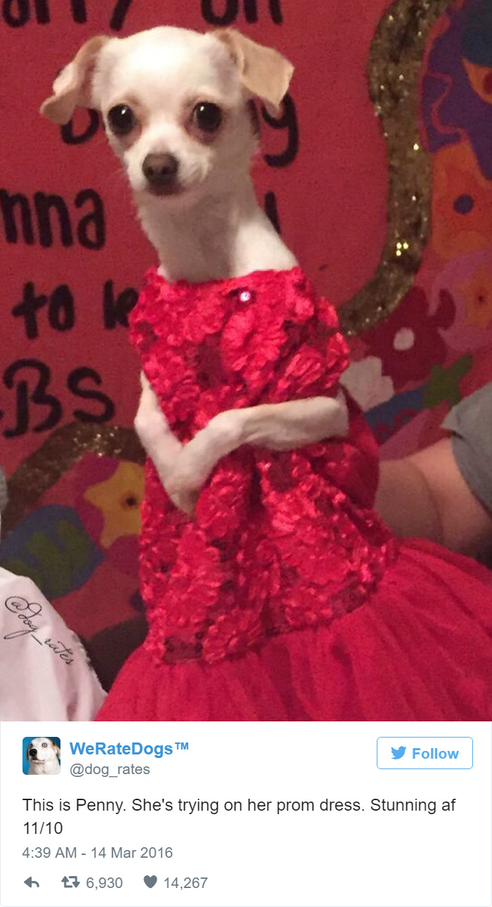 Penny Is Trying Out Her Prom Dress. 11/10 Stunning AF