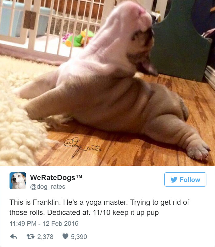 Franklin Is A Yoga Master. 11/10 Dedicated AF