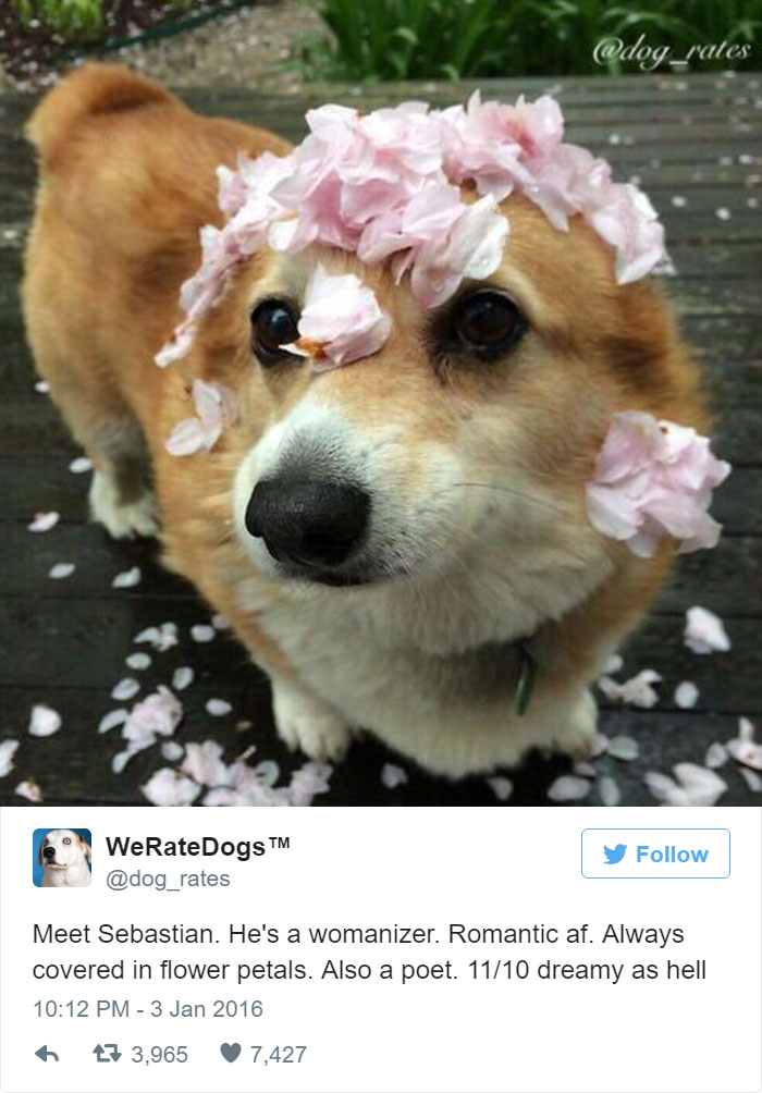 Sebastian Is A Womanizer. 11/10 Dreamy As Hell