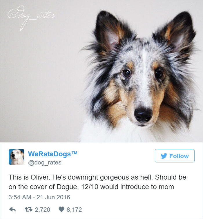 Oliver Is Downright Gorgeous, Should Be The Cover Of Dogue. 12/10