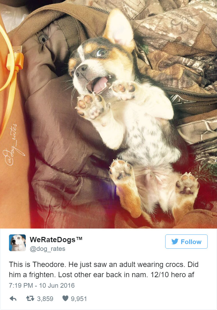 Theodore Just Saw An Adult Wearing Crocks. Did Him A Frighten. 12/10 Hero AF