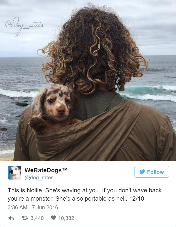 She's Waving At You And She's Portable Like Hell. 12/10