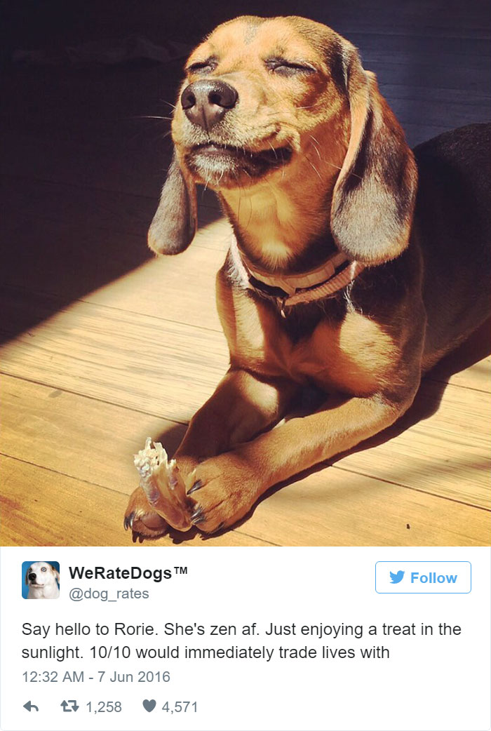 Rorie Is Zen AF. 10/10 Would Immediately Trade Lives With