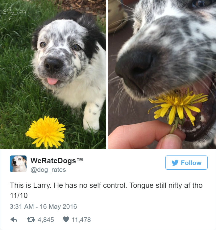 Larry Has No Self Control. 11/10
