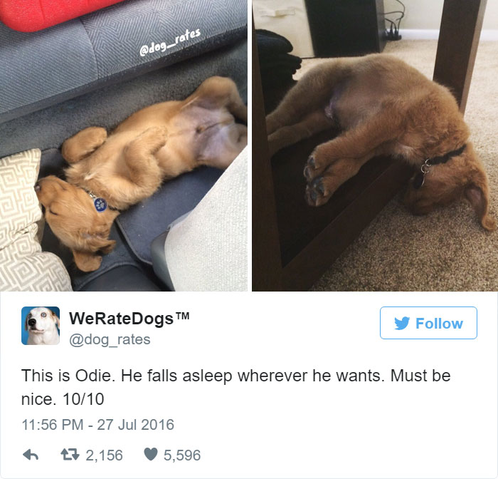 Falls Asleep Wherever He Wants. Must Be Nice. 10/10