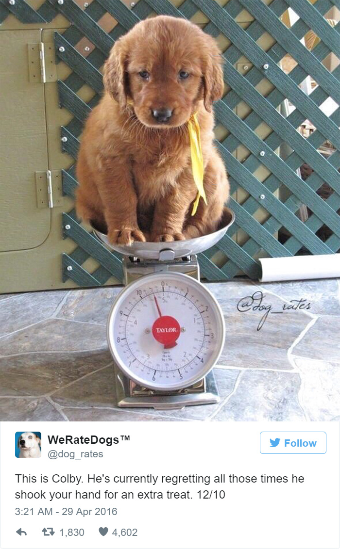 Colby Is Regretting All Those Times He Shook Your Hand For An Extra Treat. 12/10