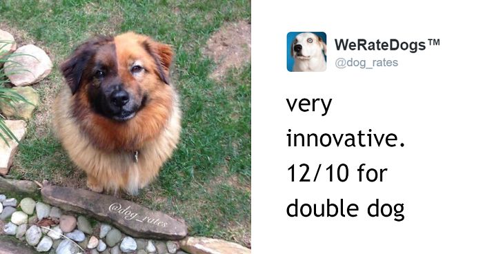 This Twitter Account Rates Dogs And It’s Hilarious