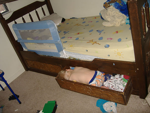 Napping In A Drawer Under The Bed