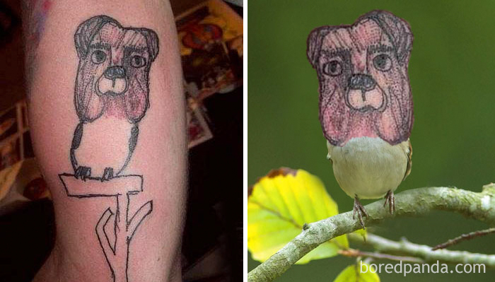Terrible tattoo face swap shows a dog's face on a bird's body, highlighting bad tattoo art.