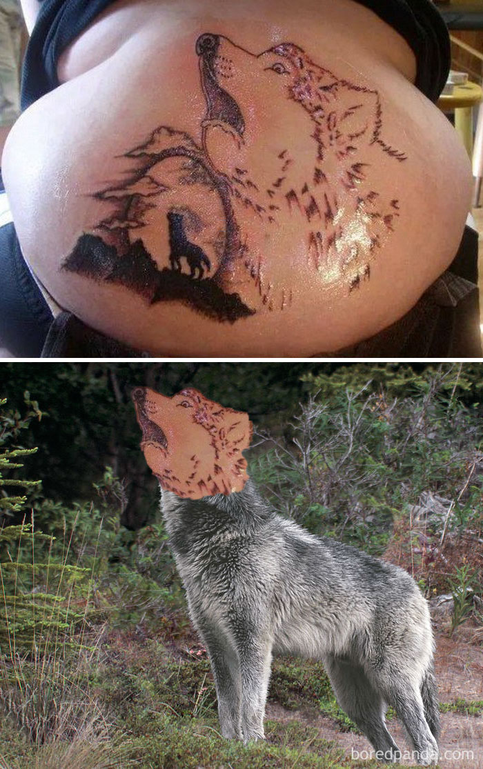 Tattoo face swap showing a wolf tattoo on skin and a wolf in nature with a tattooed face.