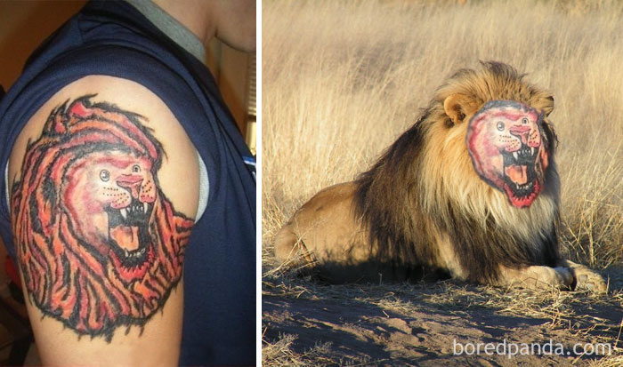 Lion tattoo face swap showing how bad some tattoos really are.