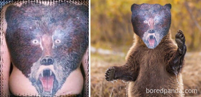 Terrible tattoo face swap of a bear tattoo on a person's back, next to an image of a bear with the same tattooed face.