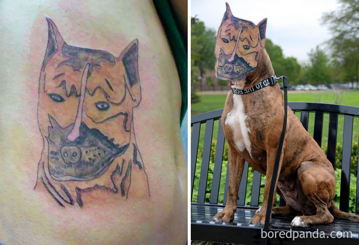 Terrible tattoo face swap showing a distorted dog tattoo compared to the actual dog's face.