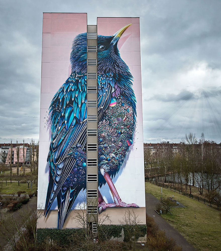 giant-starling-mural-street-art-collin-van-der-sluijs-super-a-berlin-1 giant-starling-mural-street-art-collin-van-der-sluijs-super-a-berlin-1