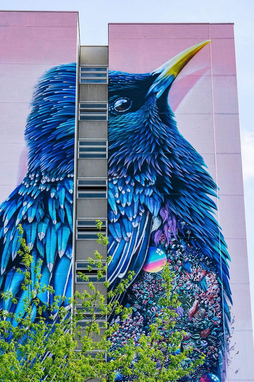 giant-starling-mural-street-art-collin-van-der-sluijs-super-a-berlin-3 giant-starling-mural-street-art-collin-van-der-sluijs-super-a-berlin-3