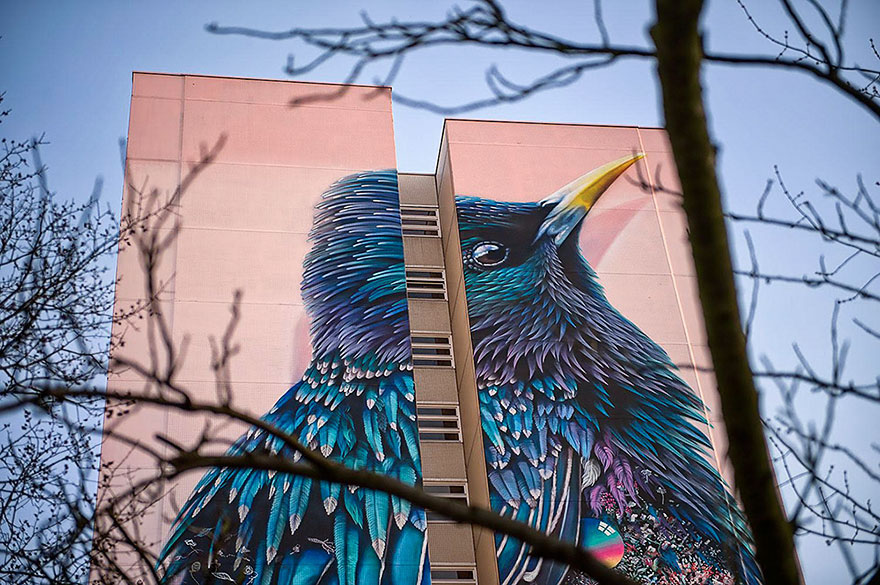 giant-starling-mural-street-art-collin-van-der-sluijs-super-a-berlin-4 giant-starling-mural-street-art-collin-van-der-sluijs-super-a-berlin-4