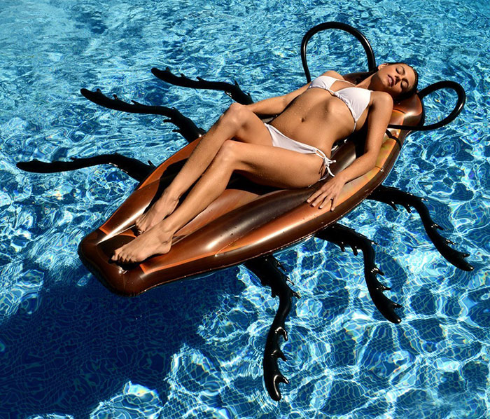 gigantic-cockroach-raft-inflatable-pool-float-kangaroo-4 gigantic-cockroach-raft-inflatable-pool-float-kangaroo-4
