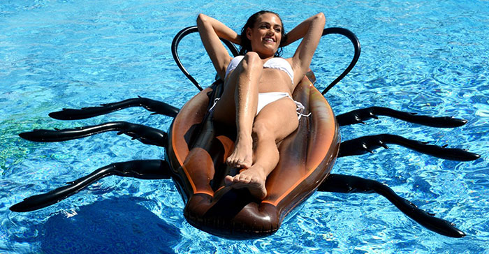 gigantic-cockroach-raft-inflatable-pool-float-kangaroo-8 gigantic-cockroach-raft-inflatable-pool-float-kangaroo-8