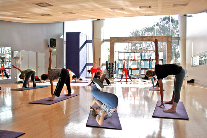 Yoga Level - Beginner