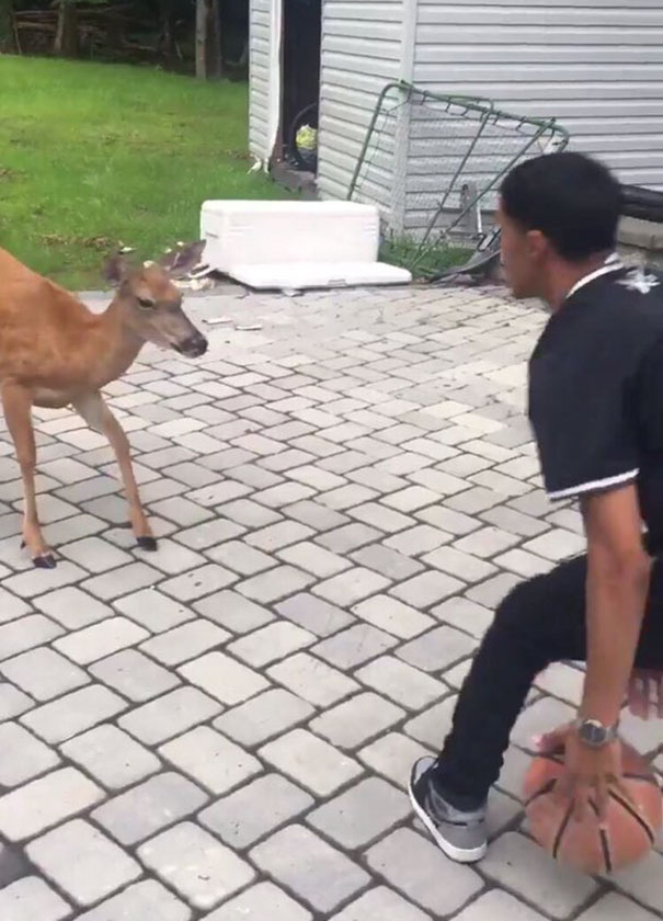 guy-deer-friend-kelvin-pena-coldgamekelv-4 guy-deer-friend-kelvin-pena-coldgamekelv-4