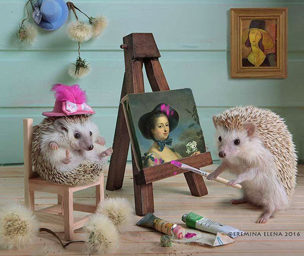 Cute Hedgehogs