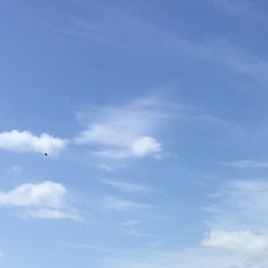 collettecallan_1 avatar