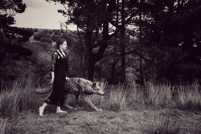 Walking With A Wire Wolf