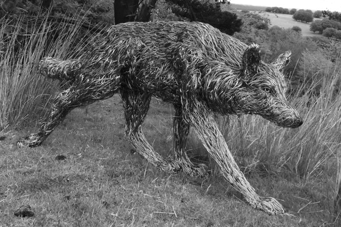Walking With A Wire Wolf