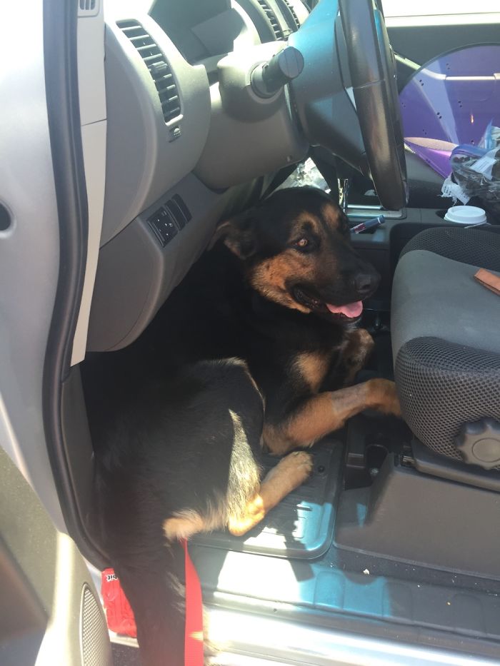 Excited To Go To His New Home!