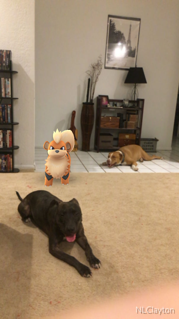 Pets interacting with Pokémon Go character in a living room, showcasing convincing evidence.