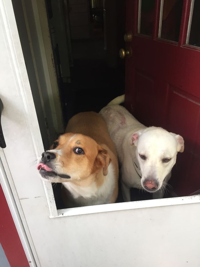 Hi Hi Hi!! You're Home And We Didn't Do It!