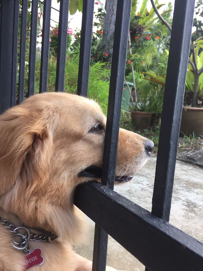 Watching The World Go By