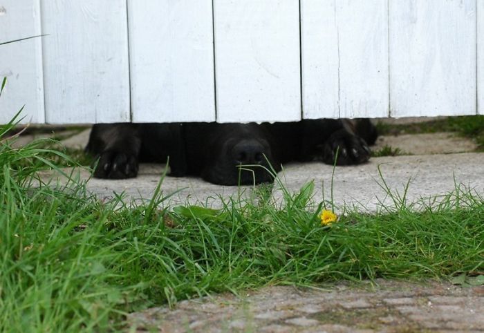 When Are You Coming Home?