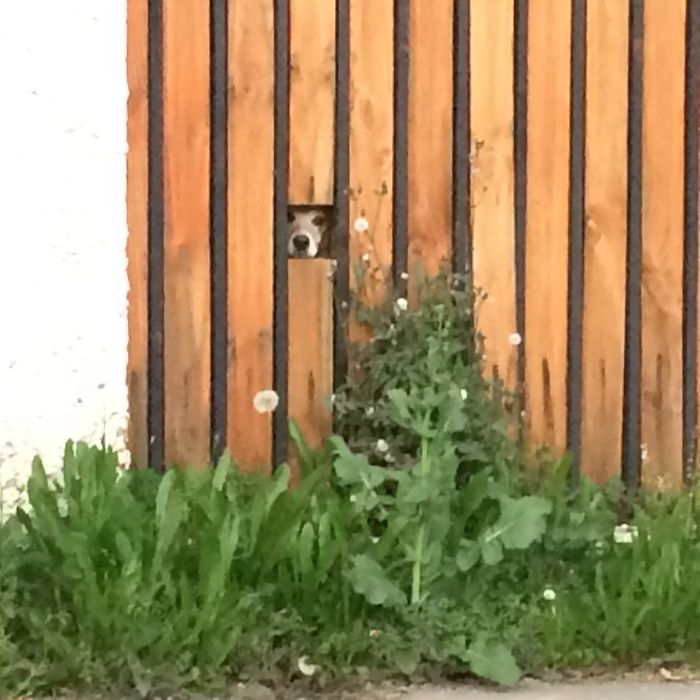 Hi Stranger Can You Please Hug Me ?