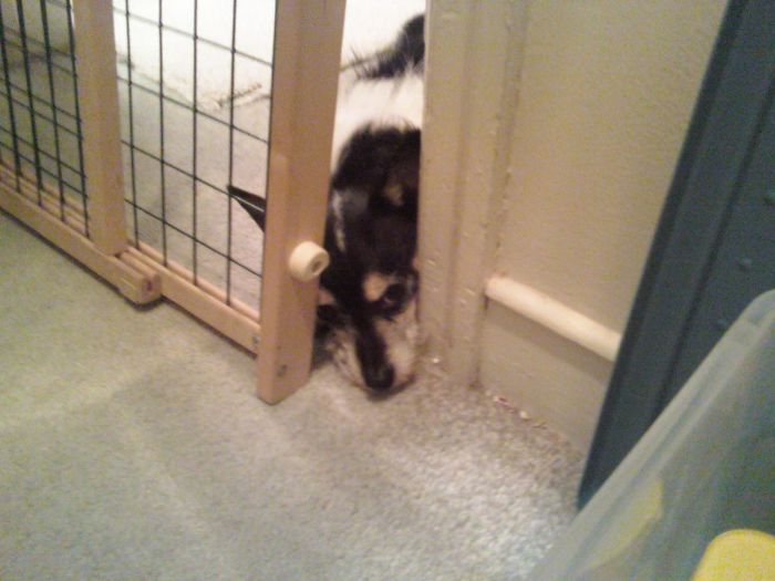 I Know You're Having Fun Without Me.