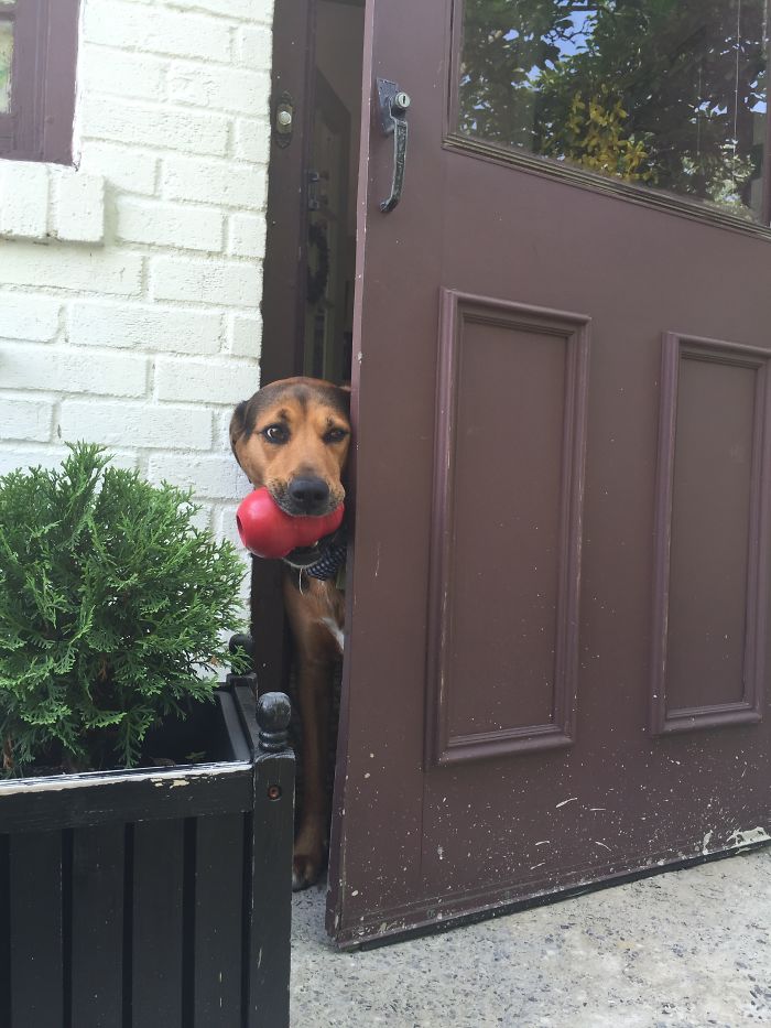 Hello, Will You Come In Now?