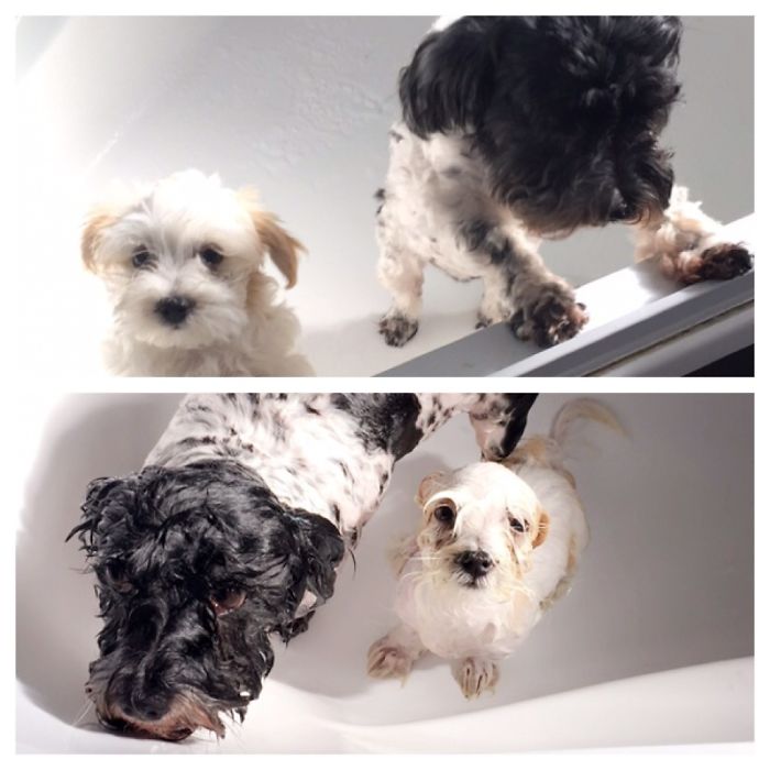 Best Friends Through Everything