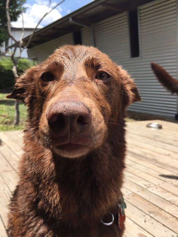 Happy Before Not So Happy Later