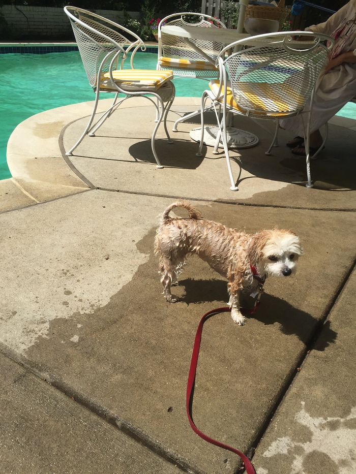 After Pool But Almost Close ????