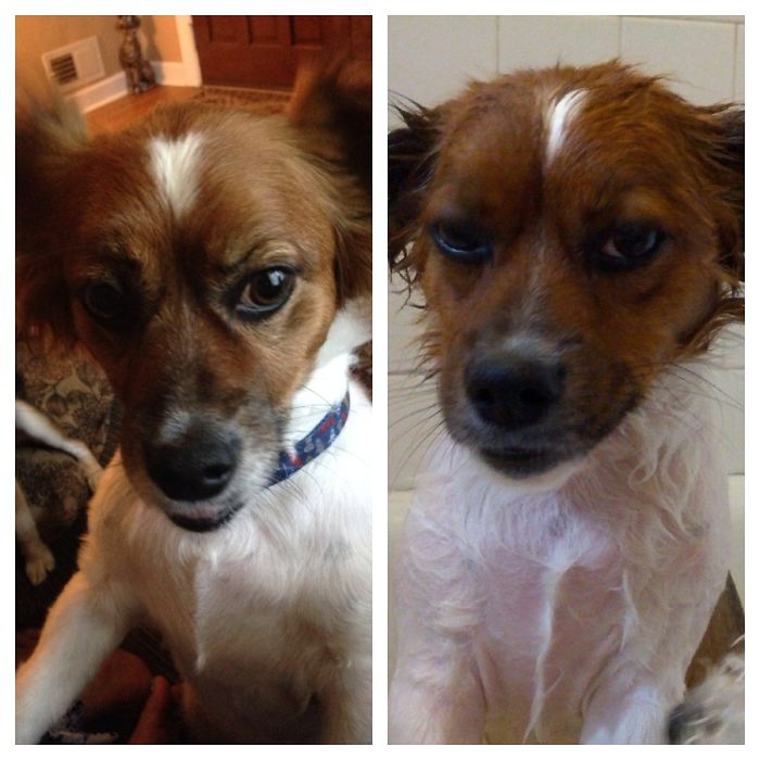 Before Bath Vs. After Bath