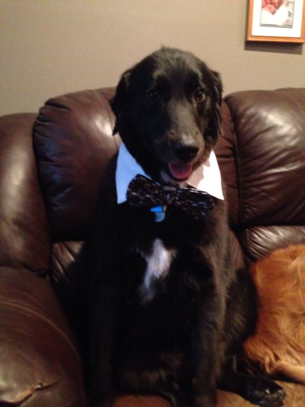 Buddy. W Love And Patience No Longer A Fearful Scared Boy!!! All Dressed For Our Wedding!