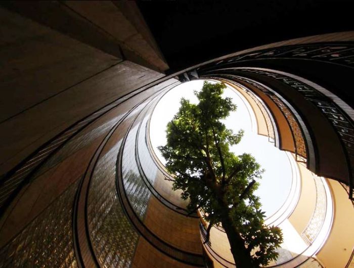 An Apartment In Tehran Which Was Built Without Cutting Even A Single Tree